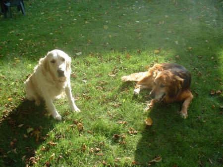 viki et bouboule