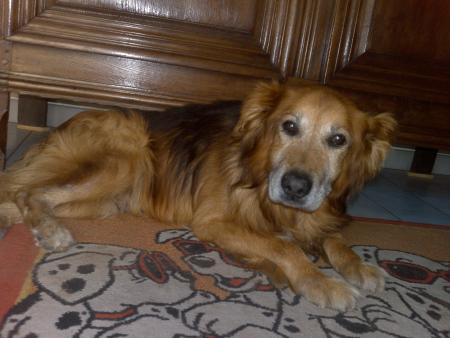 mon pti bouboule